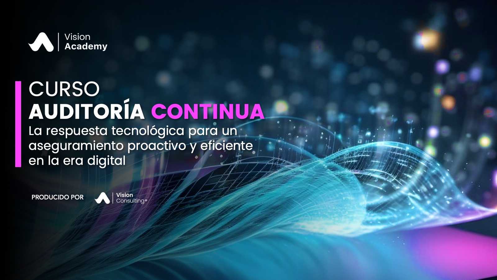 Curso Auditoría Continua
