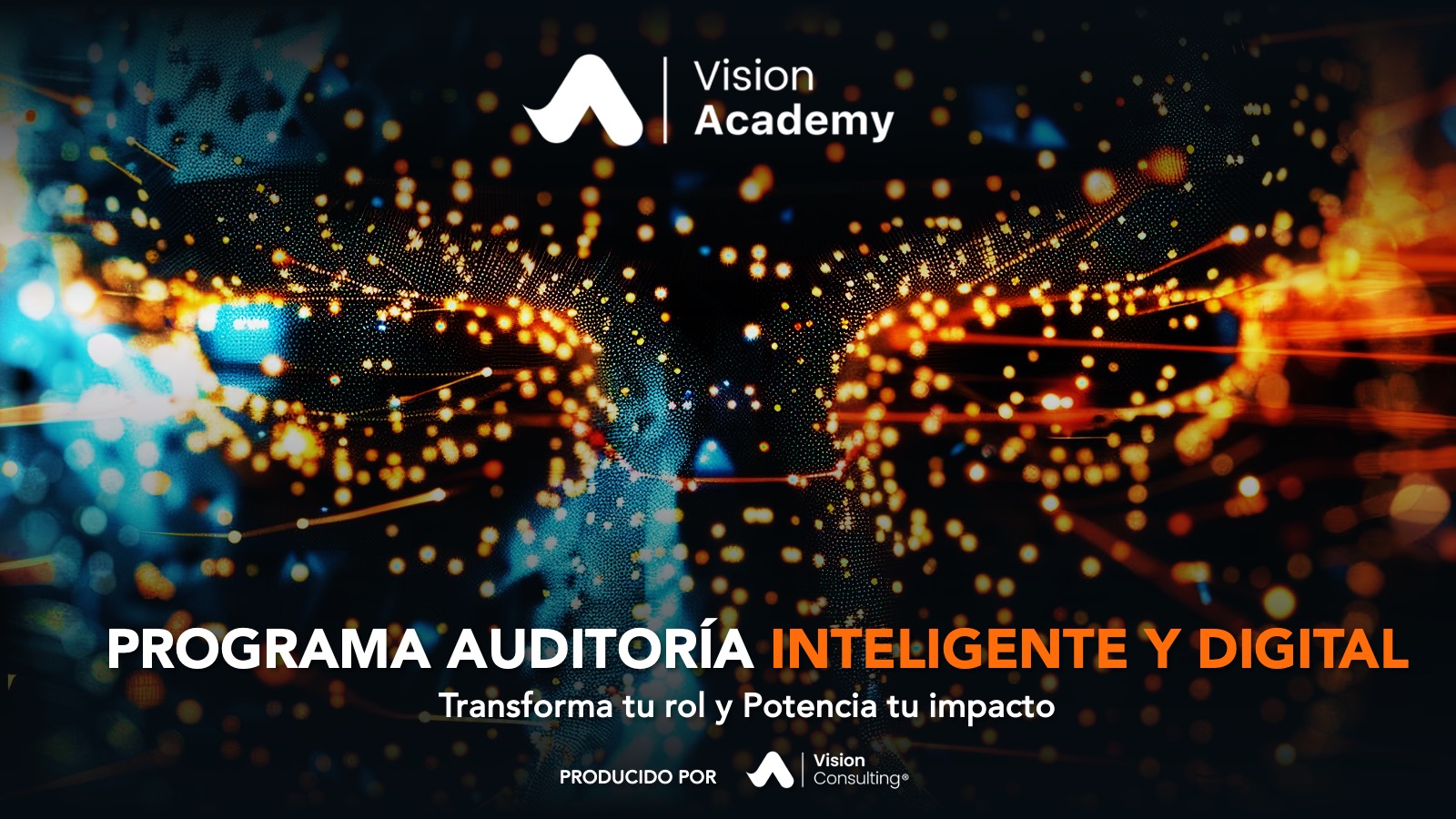 Programa Auditoría Inteligente y Digital